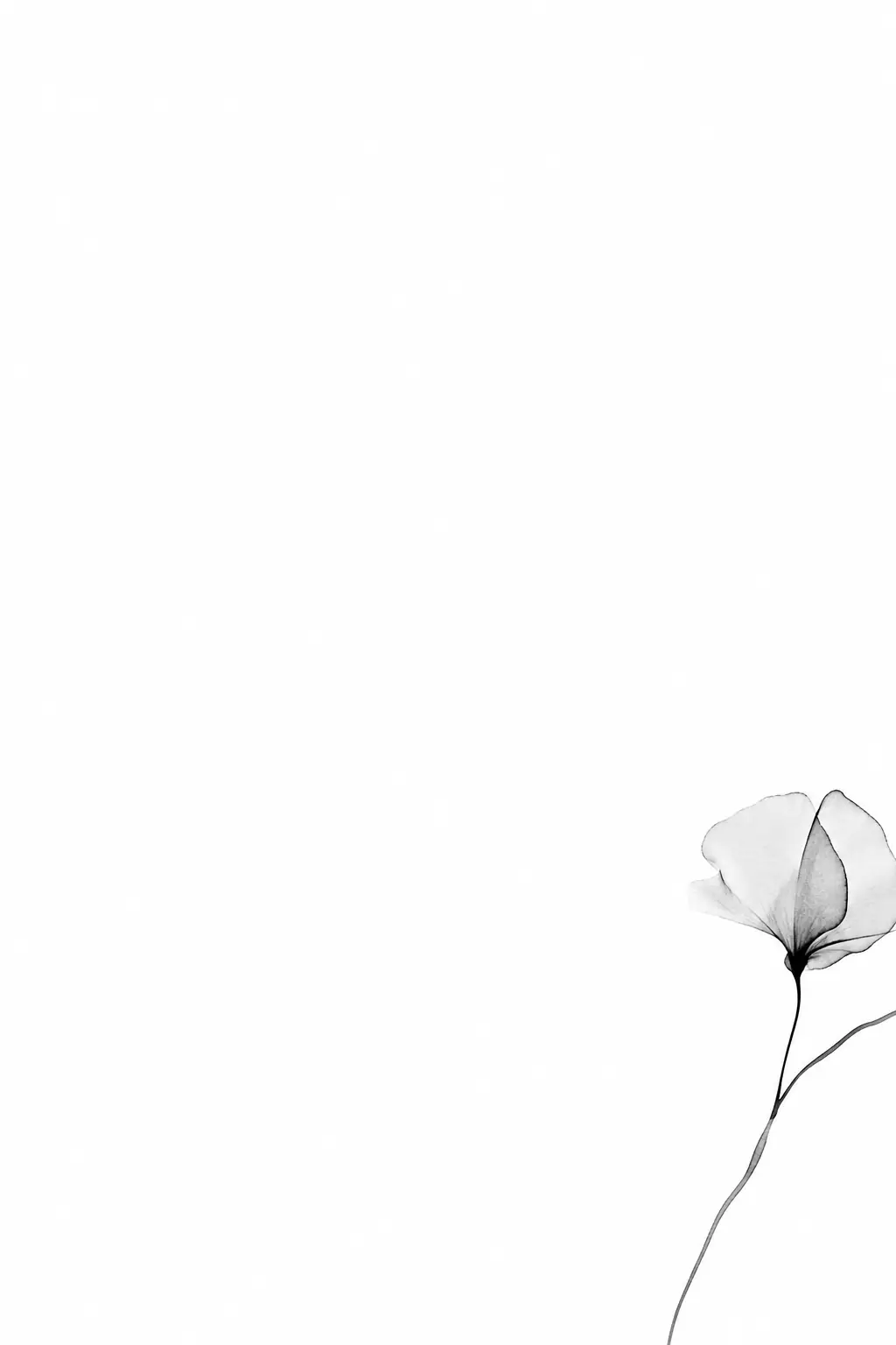 Modelo Editorial Minimal